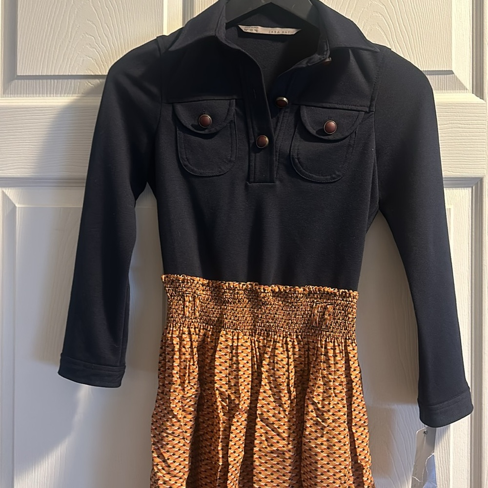 Zara Basic Navy/Brown Mini Dress